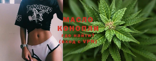 МДПВ Дмитриев