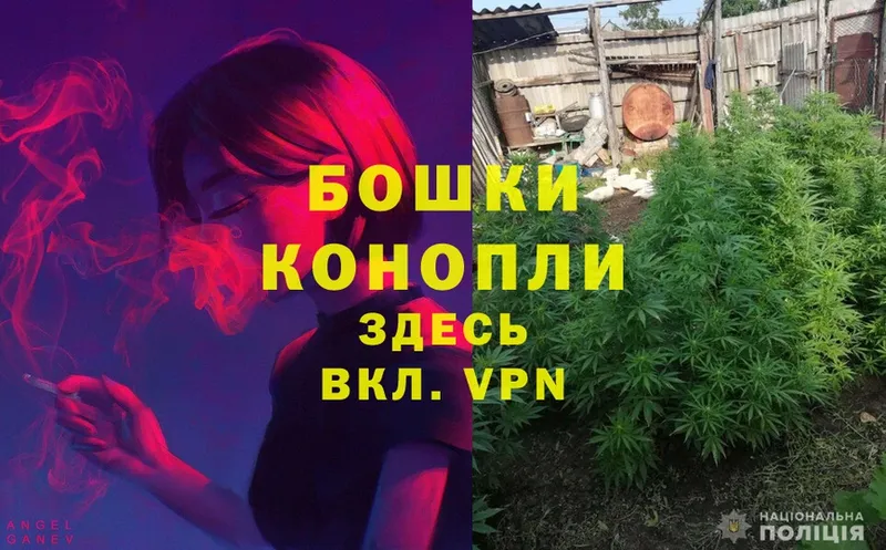 Каннабис Bruce Banner  Гусиноозёрск 